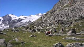 Gran Paradiso Guided Hike [upl. by Holub]