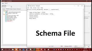 Datastage tutorial  How to use Schema files in a Sequential file stage [upl. by Anwahsak]