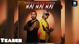 Triantafillos X Dj Stephan  NAI NAI NAI  Teaser 2024 [upl. by Zipporah975]