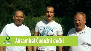 Ansambel Čudežni dečki  Jaz ne jokam Uradna verzija Official video [upl. by Kos]