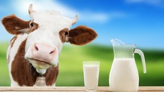 Adulteration in Milk home made tests either milk is pure or fake [upl. by Joachim370]