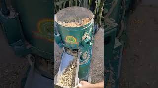 300 type feed pellet machine used for homemade pellet productionSqueezing feed pellets machine [upl. by Ronyam]