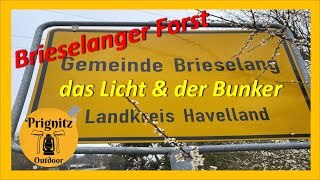 Brieselanger Forst das Licht und der Bunker [upl. by Niram344]