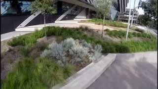 Monash Universitys Clayton Campus Grounds [upl. by Og]