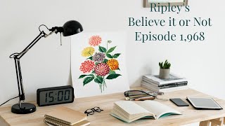 Ripleys Believe it or Not  Episode 1968  Traced Headstone [upl. by Mullac]