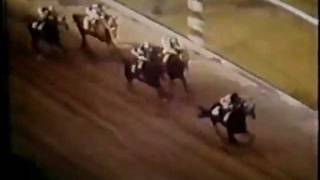 Secretariat  Preakness Stakes 1973 [upl. by Nancee]