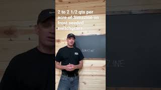 How much Simazine is safe on switchgrass deerhunting deerhabitat shorts switchgrass [upl. by Ellocin927]