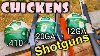 Shotgun Slugs vs Chickens 410 20 Gauge 12 Gauge [upl. by Lorrie]