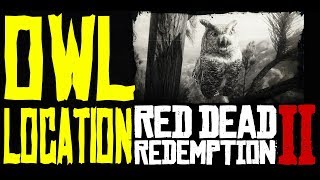 Red Dead Redemption II Owl Location [upl. by Itnaihc]