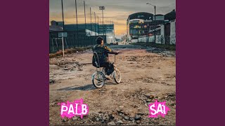 PALB [upl. by Ikin]