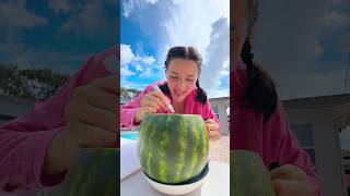 Raju made a fake watermelon for Champa😱😘short funny funnyvideo [upl. by Eirolav597]