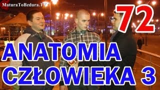 ANATOMIA CZŁOWIEKA CZĘŚĆ 3  odc 72 MaturaToBzduraTV [upl. by Nagad566]