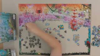 Time lapse puzzle  Gibsons See through nature 1000 [upl. by Adnawyt]