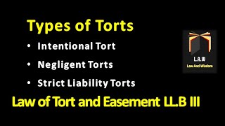 Types of Tort  Law of Torts and Easement [upl. by Kimberly424]