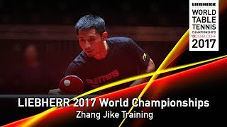 2017 World Championships  Zhang Jike Training [upl. by Eugenie]