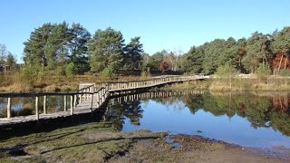 55 Brunssummerheide Limburg NL 89 km [upl. by Emee477]