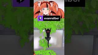 ¿Cuantas vidas tiene un gato  evannsilber de Twitch [upl. by Kraska]