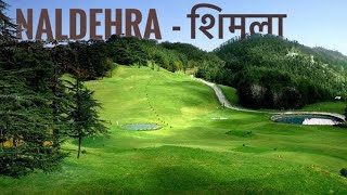 Naldehra and Kufri  Most Beautiful Tourist Places to Visit in Shimla Himachal Pradesh [upl. by Gamber]