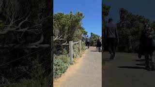 Loch Ard Gorge and the Shipwreck Walk the Great Ocean Road Victoria Australia Oct 2024 [upl. by Etty6]