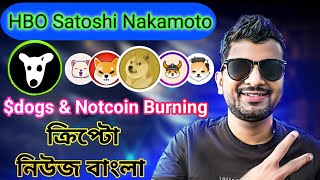 WHO IS HBO SATOSHI NAKAMOTO  CRYPTO NEWS BANGLA  BITCOIN  DOGS amp NOTCOIN BURNING [upl. by Aloysius]