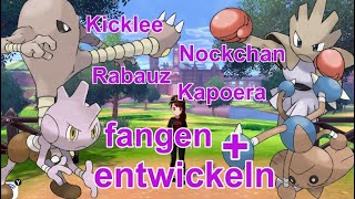 Rabauz Kicklee Nockchan und Kapoera fangen  entwickeln  Pokemon Schwert und Schild [upl. by Giarc781]