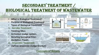 Biological Treatment of Wastewater Secoundary treatment of sewage water Hindi Urdu [upl. by Ayotal]