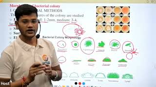 Identification of bacteria in Hindi II [upl. by Wolfie42]