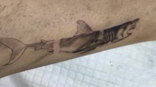 oozytattoo shark  201705 [upl. by Llorrac]