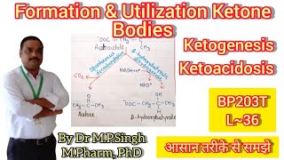 Formation amp Utilization of Ketone Bodies  Ketogenesis  Ketoacidosis  Biochemistry  BP203T  L36 [upl. by Gnoc]