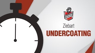 Ziebart Undercoating in 24 Seconds [upl. by Peltier914]