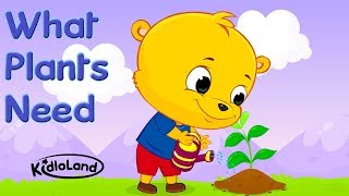 Needs of a Plant  Early Learning  Learn To Grow a Plant  Kidloland Preschool Song For Kids [upl. by Inman]