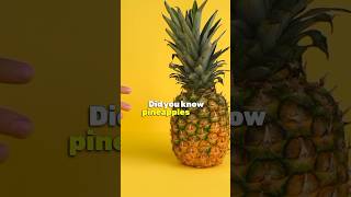 Why do pineapples take 3 years to grow didyouknow learnsomethingnew funfacts [upl. by Rayna]