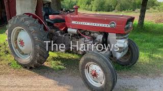 Massey Ferguson 135 in the Garden [upl. by Parent]