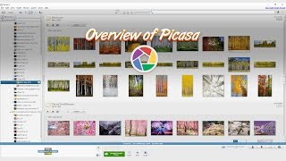 Picasa  a free program to organize your reference images [upl. by Ransom]