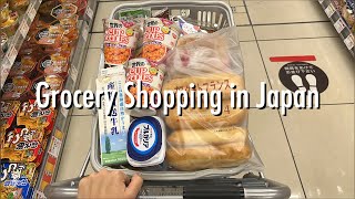 Grocery Shopping Trips in Japan 🛒 Summary of Late October Shopping 🎵 [upl. by Anehsat]