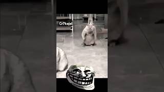 No way❤️ Troll Face ☠️ Cat Moments disaster shorts viral catdisaster [upl. by Hallie425]