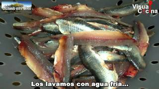 boquerones en adobo [upl. by Caddaric]