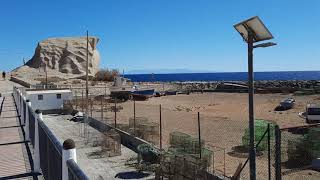 Tajao Harbour and the LA CALETA IGNIMBRITE of South Tenerife [upl. by Erodasi290]