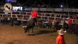 ¡¡PIZOTON PEGASSO DE OAXACA VS EL PAPA PITUFO DE RANCHO LA MISION [upl. by Ronel]