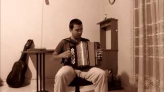 Swallowtail Jig  Diatonic Accordion Cover [upl. by Ratep751]