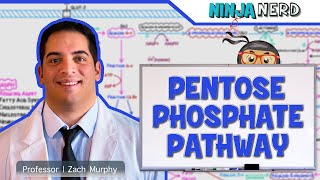 Metabolism  Pentose Phosphate Pathway [upl. by Oirretno]