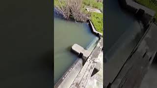 Putting redwood boards in the diversion dam for irrigation at the ranch [upl. by Mot671]