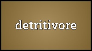 Detritivore Meaning [upl. by Darn498]