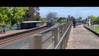 Steamrail Victoria Coming from Southern Cross to Traralgon Passing Moe Station 4K UHD [upl. by Layney518]