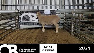 Lot 12  OB230954 [upl. by Nad]