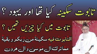 Taboot e Sakina reality and Quran Yahood • Maulana Ishaq Urdu [upl. by Olympium]