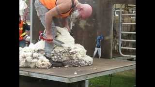 Shearing a sheep using a scissor blade at the Brookton old time motor show [upl. by Cordelie]