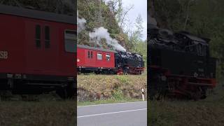 Selketalbahn mit Lok 996001 zwischen Harzgerode und Alexisbad selketalbahn hsb dampflok 996001 [upl. by Hite791]