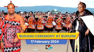 Buhleni Royal Residence Buganu Marula Ceremony  17022024 [upl. by Willman54]