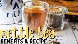 NETTLE TEA Benefits  How to Make It [upl. by Emmerich156]